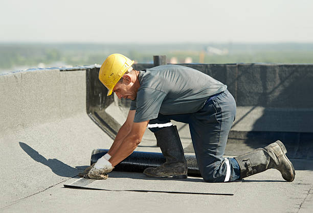 Best Insulation Installation Services in Riverside, AL